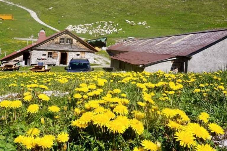 Alpage de Neuvaz image2