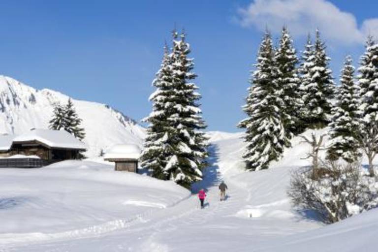 Les Accompagnateurs en montagne image1