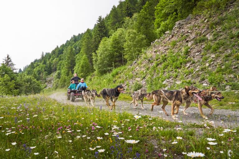 Mad Dogs Sport Aventure image1