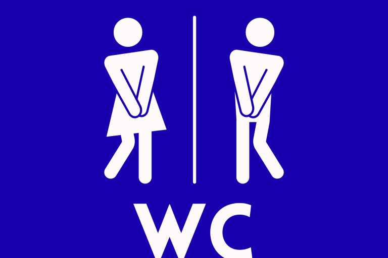 Toilettes du sommet des Chavannes image1