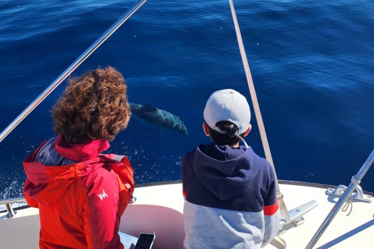 Location de bateau avec skipper avec Speedfishing image2