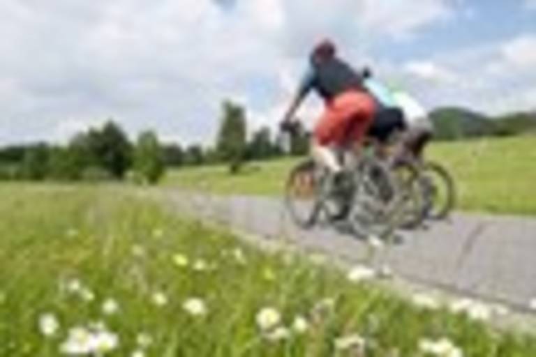 MTB and VTC Rental image2