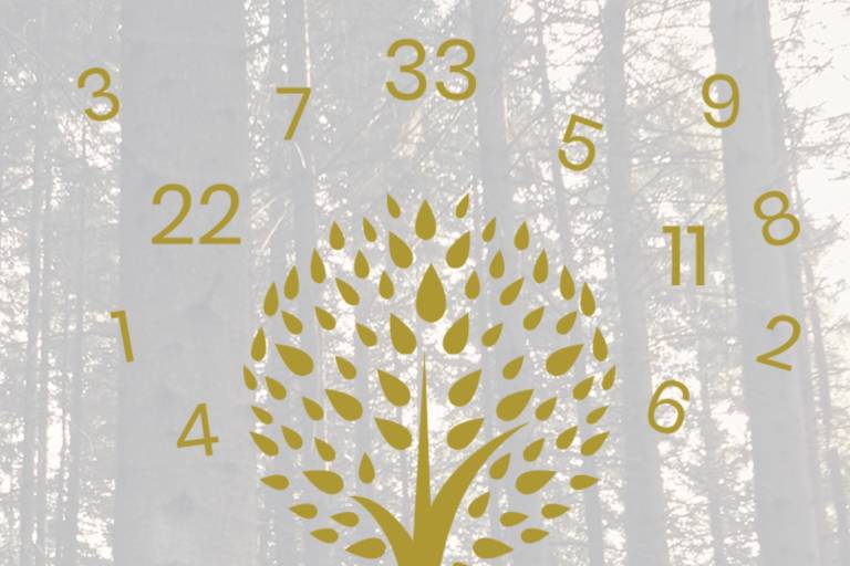 Strategic Numerology image2