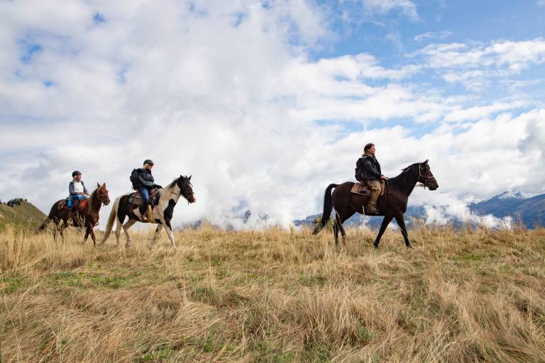 Alpes Equitation image1