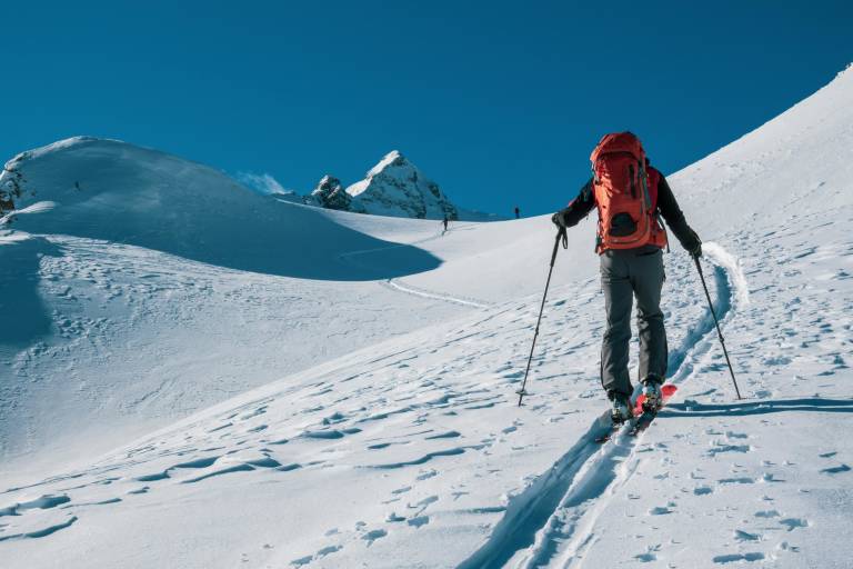 Location ski de randonnée - Pellissier Sports / Ekosport Rent image1