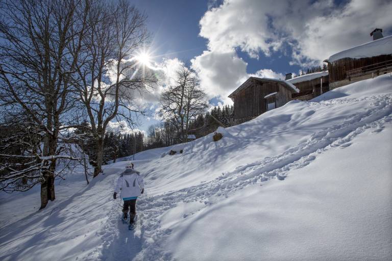 Quintessence - accompagnatrice en montagne image2