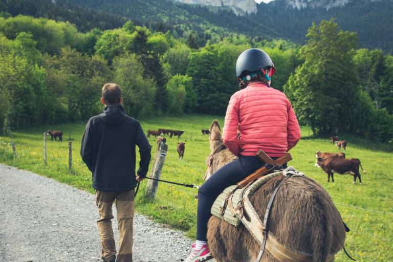 La ferme des Genti'Ânes image2