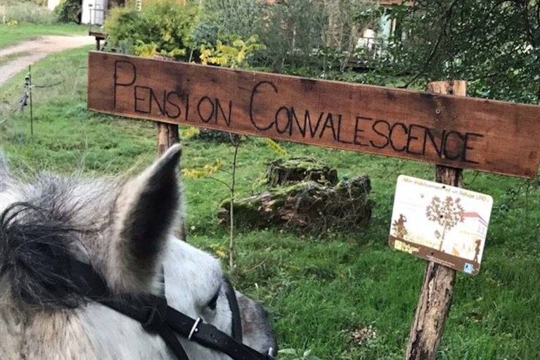 Enseignement, soins énergétiques, pension bien-être « les Sapins » image2