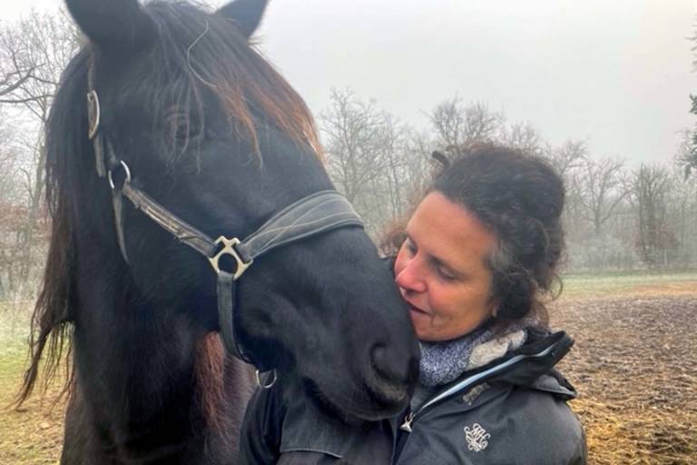 Enseignement, soins énergétiques, pension bien-être « les Sapins » image1
