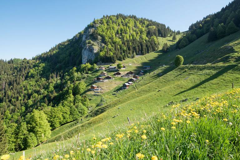 Communauté de Communes du haut-Chablais image2