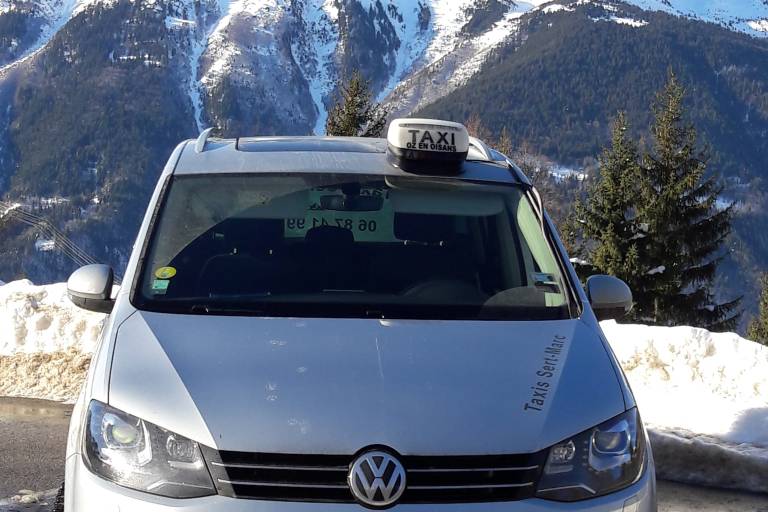 Alps Cab - Oz 3300 image2