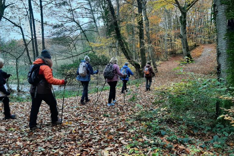 Les sentiers de Florent - marche nordique/sport santé - sorties hebdomadaires toute l'année image1