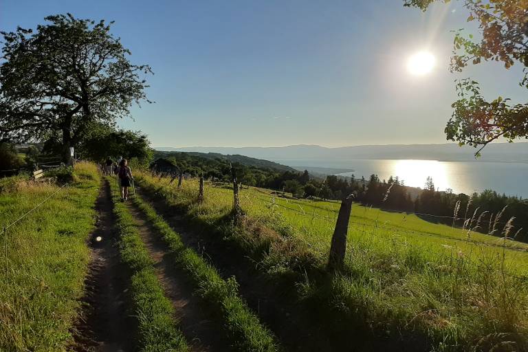 Les sentiers de Florent - marche nordique/sport santé - sorties hebdomadaires toute l'année image2