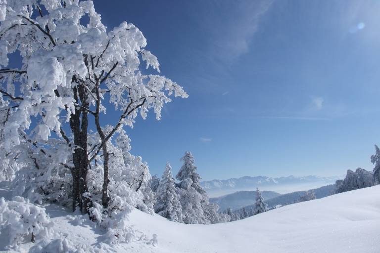 O2 Nature image2