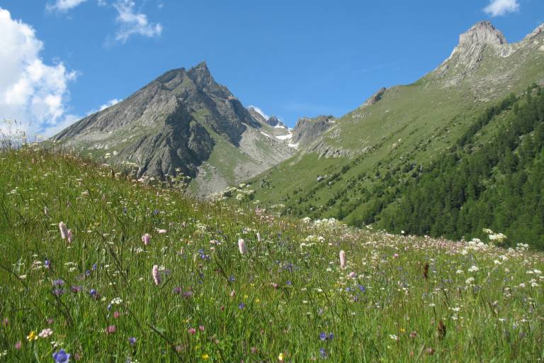 Vivre et Agir en Maurienne image2