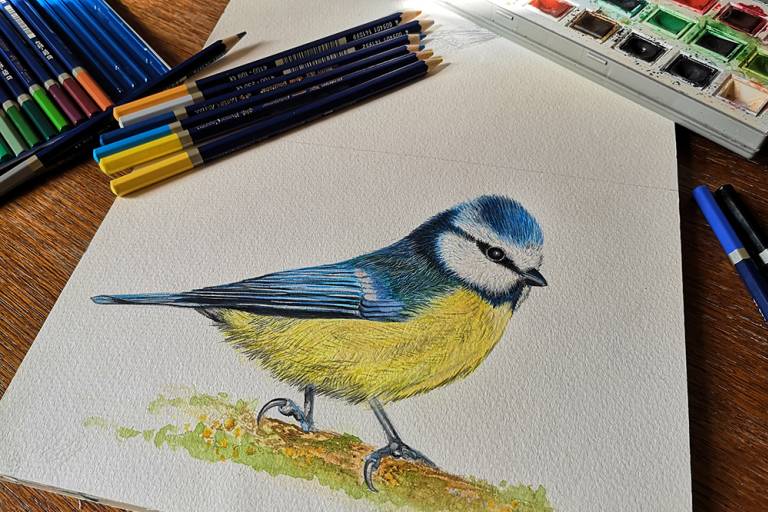 The First Impression image1