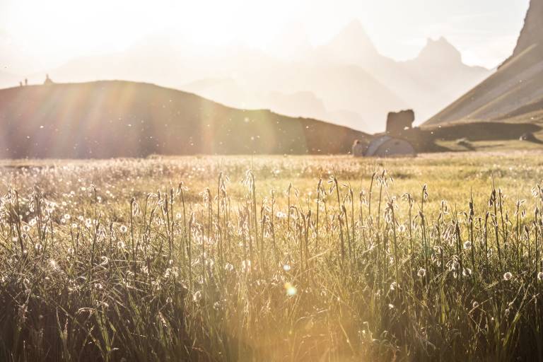 Navettes / skibus image1