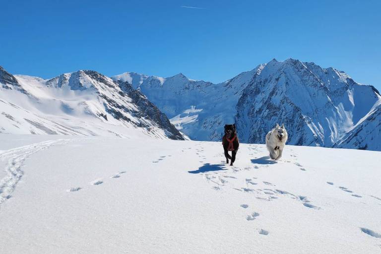 Oisans Découverte image1