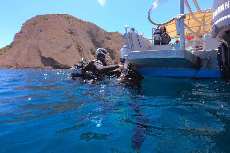 Lecques Aquanaut image1