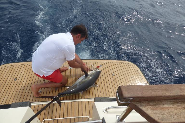 Speedfishing image2