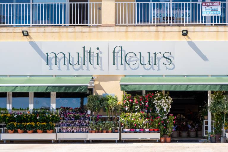 Multifleurs image1
