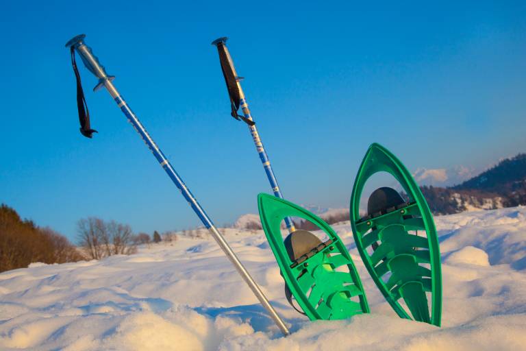 Evening snowshoe hike, aperitif and Savoyard meal ! image1