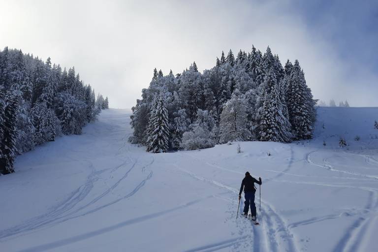 Découverte du ski de randonnée nordique ! image1