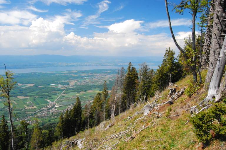 Guided walk to 'Le Signal des Voirons' image1