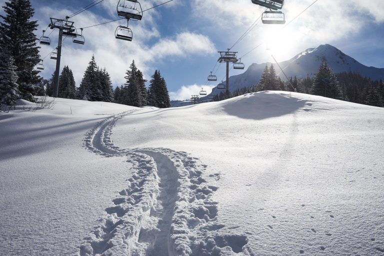 Snowshoeing tour with Alpine Ski School image1