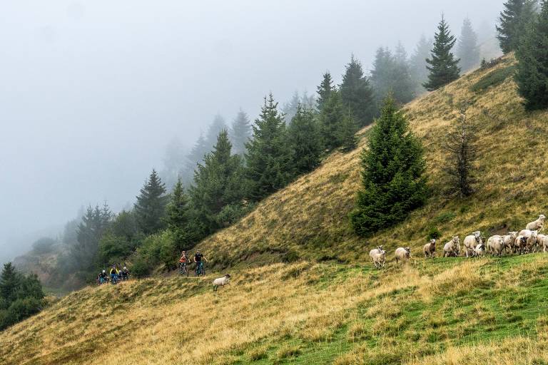 Bleue - G - Liaison Les Gets/ Morzine par les Mouilles image1