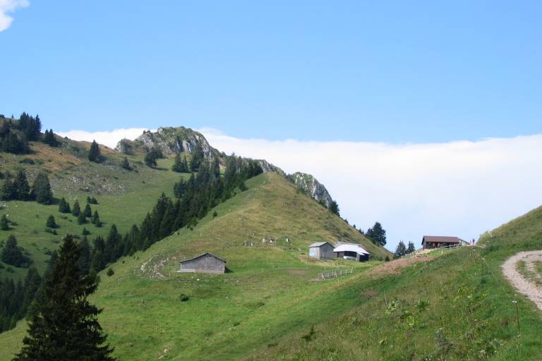 Pertuis mountain pasture image1