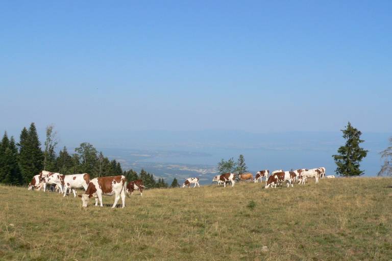 La Montagne des Soeurs image1