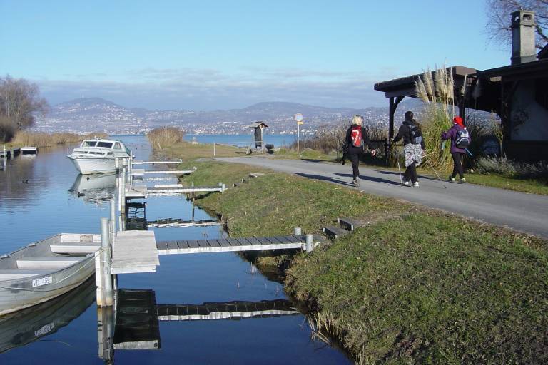 Léman Nordic - Organisateur de la T2L image1