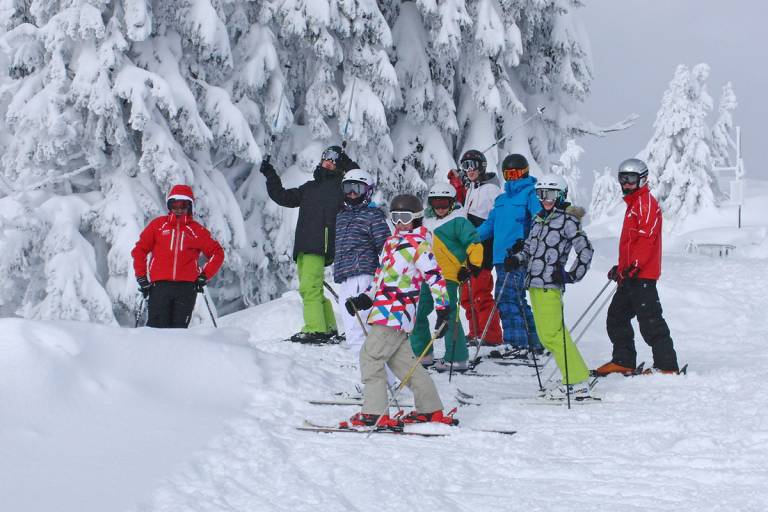 Collective ski lessons image1