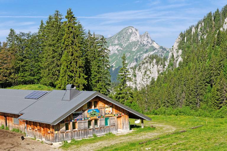 Ouzon Alpine Pasture image2