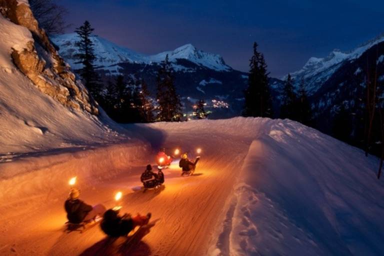 Descente en luge nocturne image1