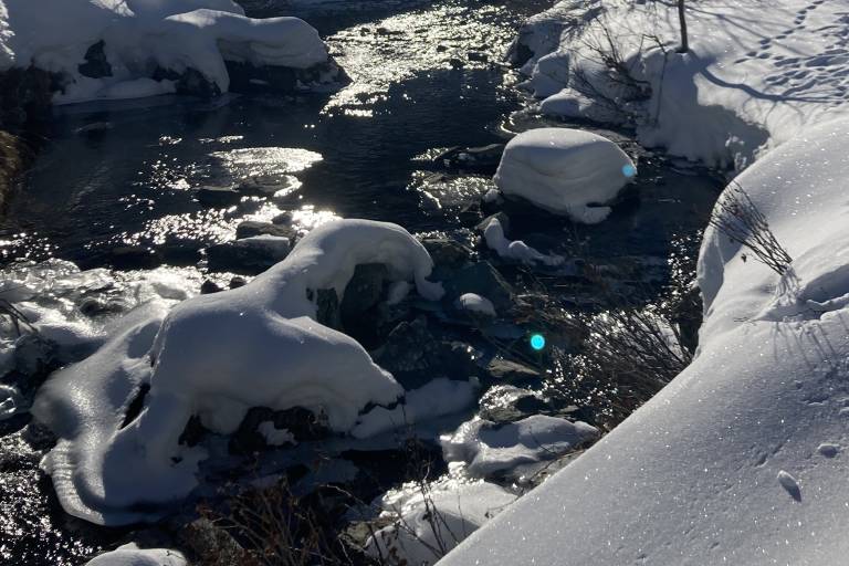 Snowshoes "The torrent of the Neuvache" image1