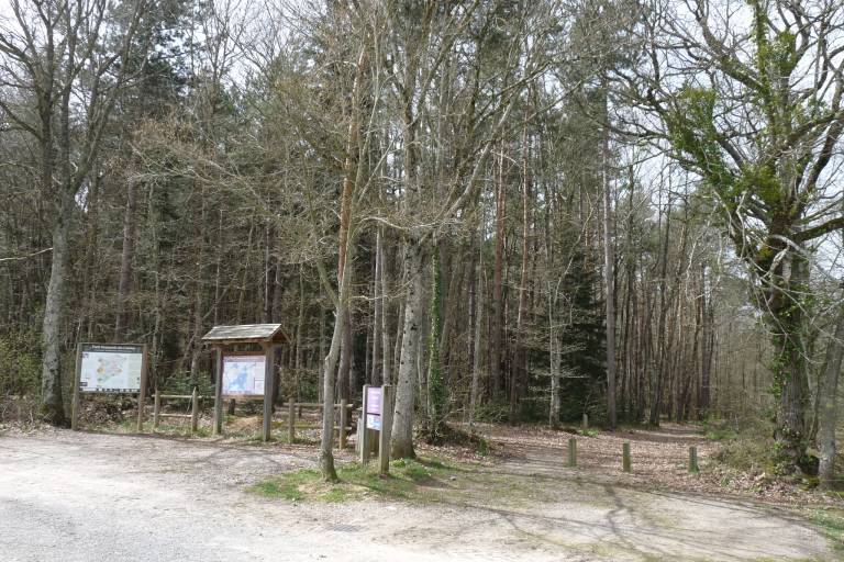 Sentier  forestier du petit Salbrune image2