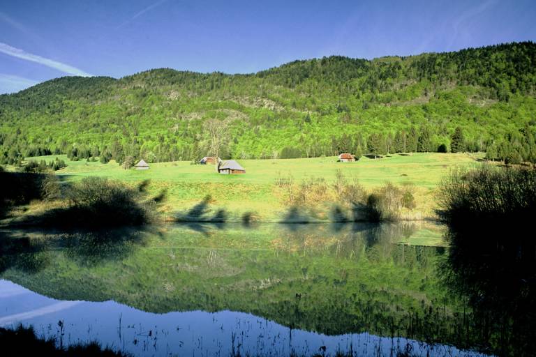 Etang du Mariet image2