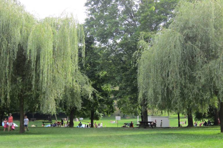 Parc du Forézan image1