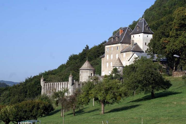 Chateau de Beauregard image1