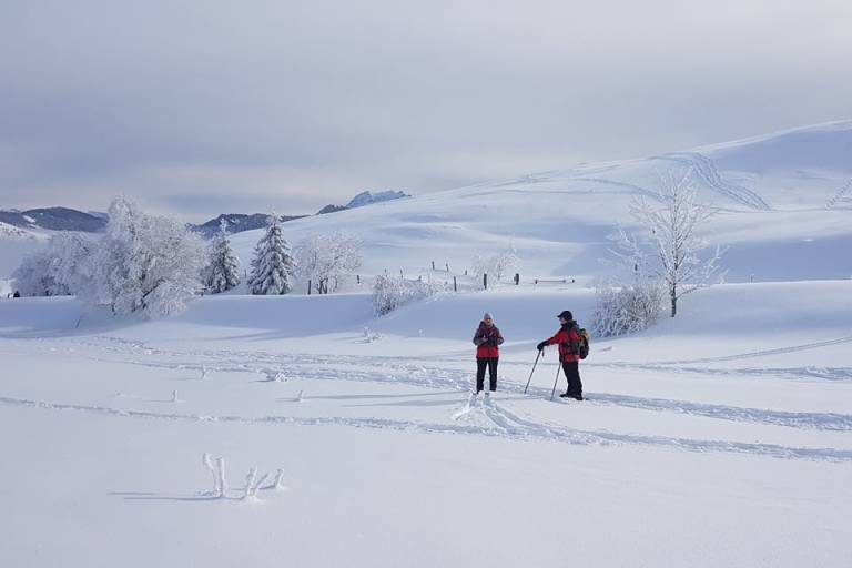 Safety avalanche snowshoeing tour image1