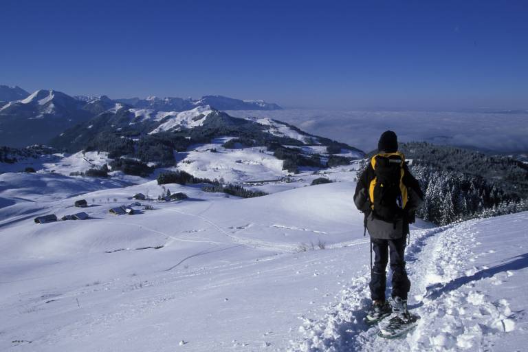 Safety avalanche snowshoeing tour image2