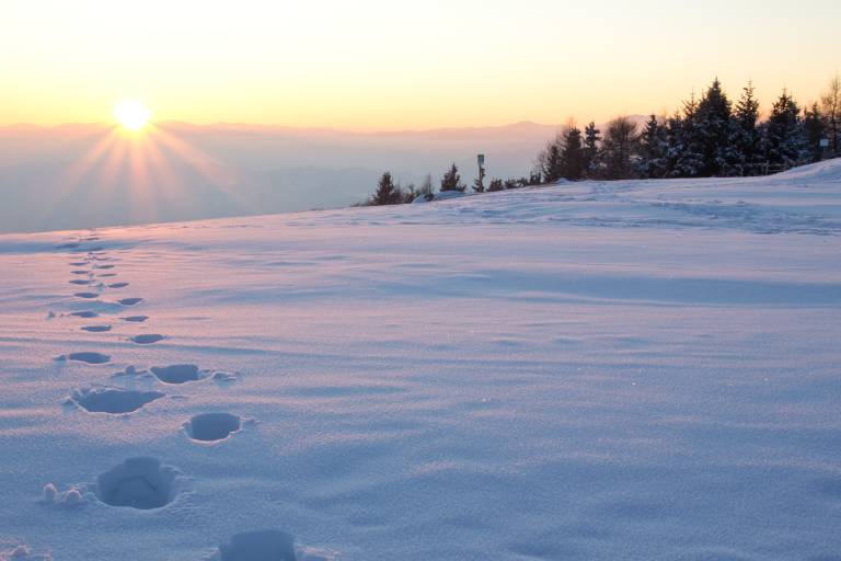 Snowshoeing - Wild goose chase and fondue ! image2