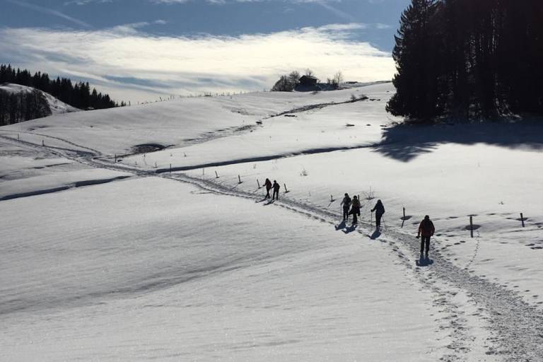 Cross-country skiing club image1