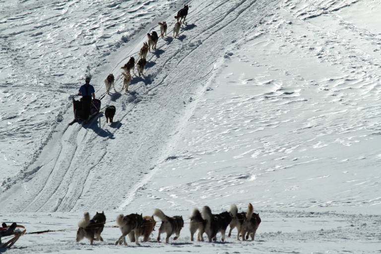 Baptême en chien de traineau image1