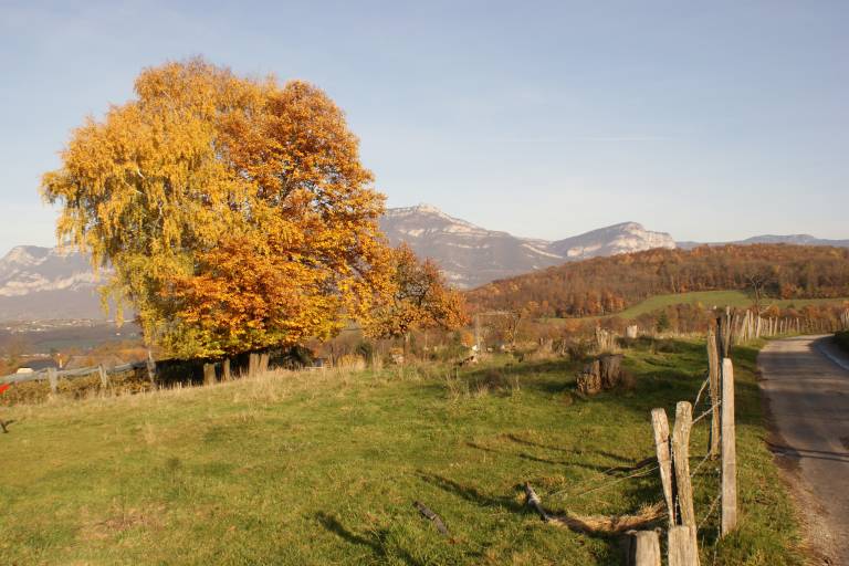 Le col du Crucifix image1