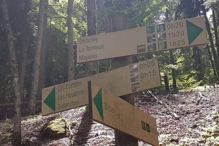 sentier pédestre : le Déramey par le circuit des coteaux et Champ Devant image1