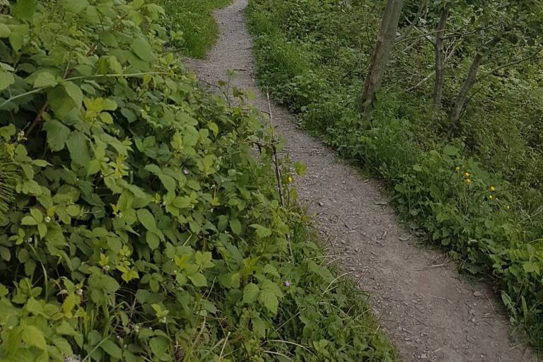 sentier pédestre : le Déramey par le circuit des coteaux et Champ Devant image2