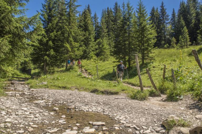 Tour du plateau des Glières en 3 jours image1